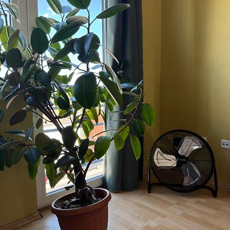Apartment Near Centre Tartu Luaran gambar