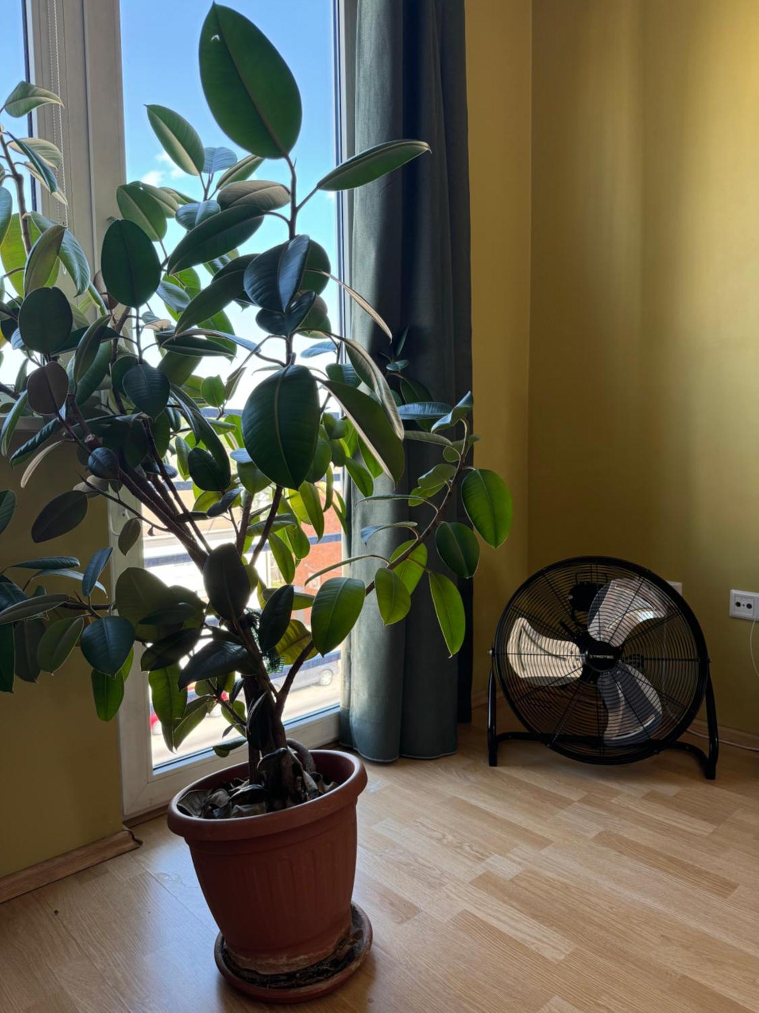 Apartment Near Centre Tartu Luaran gambar